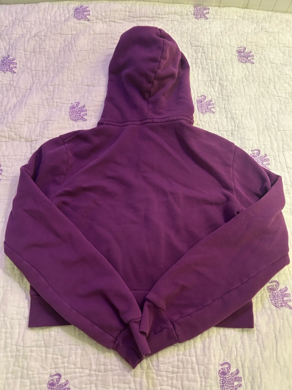 Brandy Melville Purple Zip-Up Hoodie - Picture 3 of 3